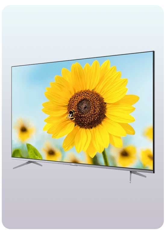 <p>Smart TV</p>